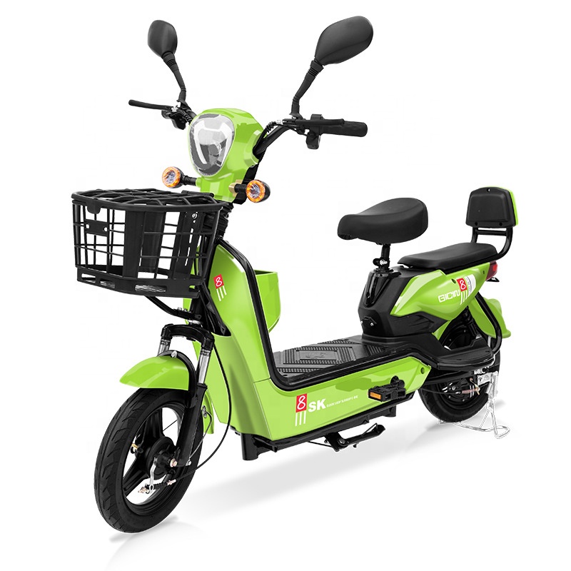 YTYIN Bicicletta Elettrica da  - Scooter Electric recensione e prezzo