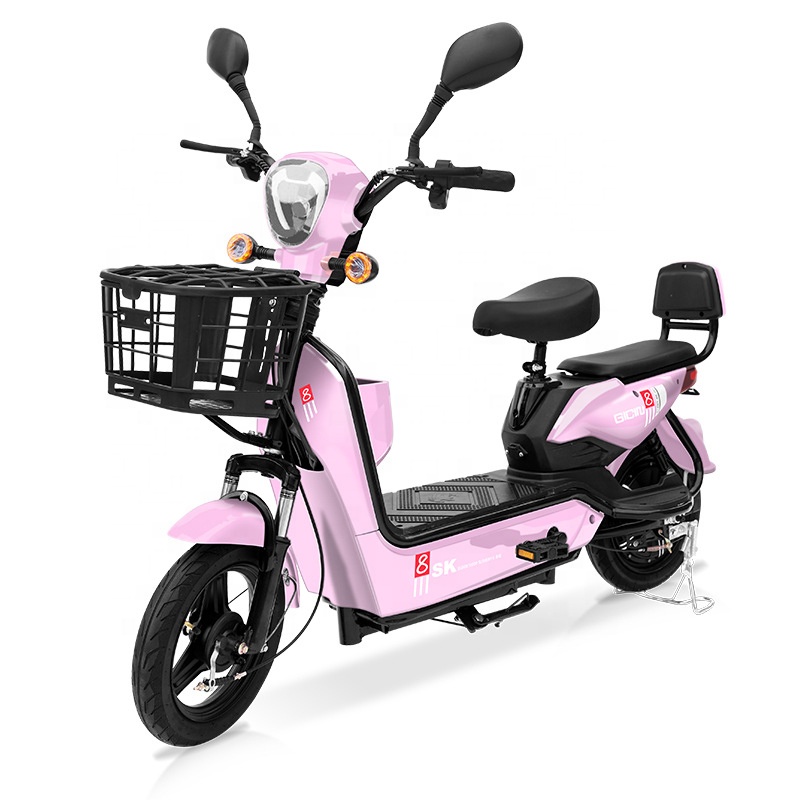YTYIN Bicicletta Elettrica da  - Scooter Electric recensione e prezzo